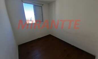 Imagem 7: Lindo apartamento em Vila Guilherme