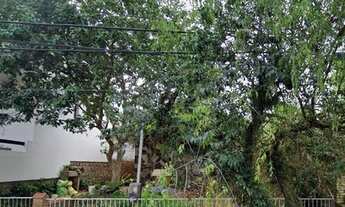 Imagem 4: Casa em Tristeza