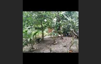 Imagem 2: Vendo esta casa no jambeiro/saviana