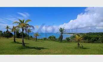 Imagem 3: Casa flor das Brisas