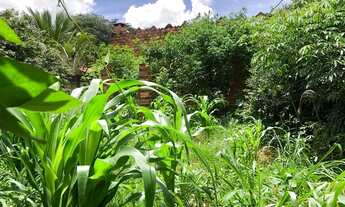 Imagem 4: Vende casa Casa com 2 dormitórios