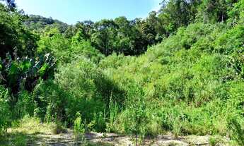 Imagem 6: ANITÁPOLIS/SC - Lindo terreno apenas 3km do centro 12hectares