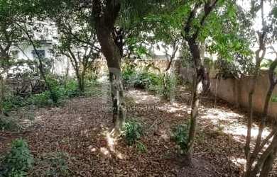 Imagem 7: Terreno para Venda - 65m², 0 dormitórios, Camaquã