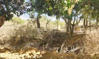 Imagem 4: Excelente Chacara com 2 Hectares, no Capão cumprido