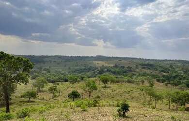 Imagem 3: Chácara Chácara com venda por R$75.000