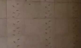 Imagem 7: Apartamento com 1 dormitório à venda, 32 m² por R$ 115.000,00 - Ponte Preta - Campinas/SP