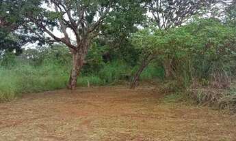 Imagem 2: Chácara no Núcleo Rural Vale Verde com 3 hectares, apenas 200 metros do asfalto
