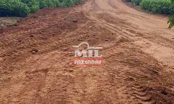 Imagem 6: Fazenda 33 alqueires (158,4 hectares) Parauna - Go