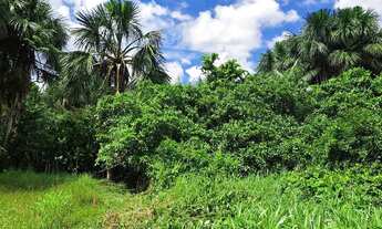 Imagem 3: Terreno União da Vitória documentado