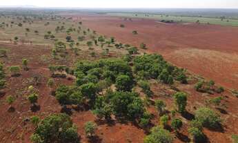 Imagem 6: Vendo 288, hectares de terras próprias para plantio de cana em Paracatu MG