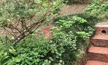 Imagem 3: Terreno de 10 x 50 na Vila Invernada