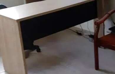 Imagem 6: SOBRADO - JARDIM NORDESTE - SP