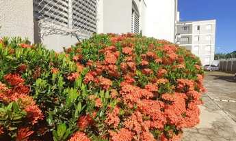 Imagem 2: Apartamento em Bairro São Francisco - Campo Grande