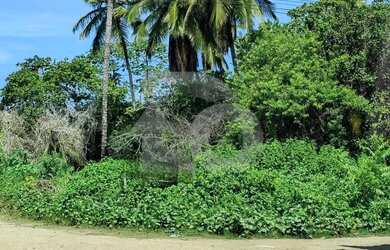 Imagem 11: Terreno Amplo de Esquina à Venda no Mosqueiro com Financiamento Disponível