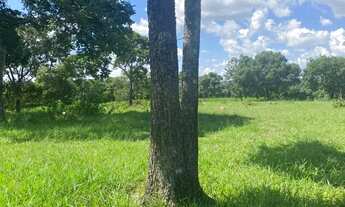 Imagem 4: Fazenda a venda em Pontalina Goiás!!!