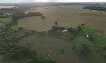 Imagem 4: Fazenda Anápolis