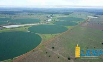 Imagem 3: Fantástica fazenda com 5.614 hectares sendo 3.049 hectares de plantio irrigados por 40 piv