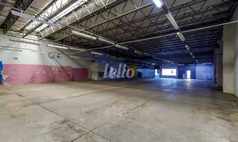 Imagem 7: Comercial para alugar no(a) Vila Gustavo