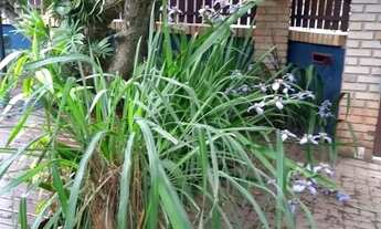 Imagem 3: Casa com 3 dormitórios a 500m do mar no Rio Tavares