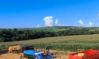 Imagem 4: Fazenda Arrendamento 1.400hec plantando, + 6.600 pra abrir aos poucos em torixoreu MT