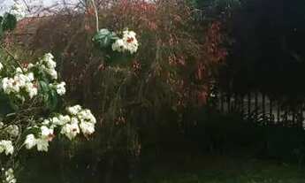 Imagem 4: Casa com 6 dormitórios à venda, 236.74 m , Estrela, PONTA GROSSA - PR