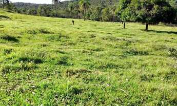 Imagem 3: Fazenda em campo florido minas