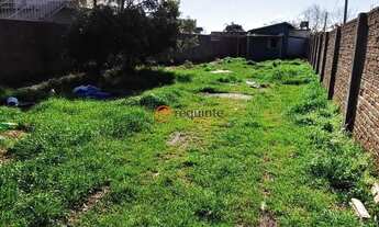 Imagem: Requinte Oferece