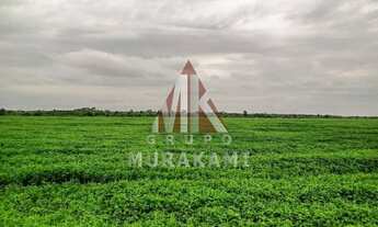 Imagem: ITIQUIRA - MATO GROSSO