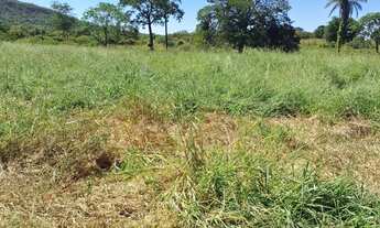 Imagem 2: Fazenda de 114,7 hectares toda plana, toda cercada no arame liso com Rio de grande porte