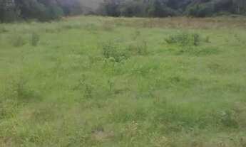 Imagem 6: Venda-se está propriedade de 5 Alqueires no Município de Mimoso do Sul/ES