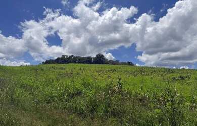 Imagem 6: Lotes para venda possui 500 metros quadrados em Colégio - Ibiúna - SP
