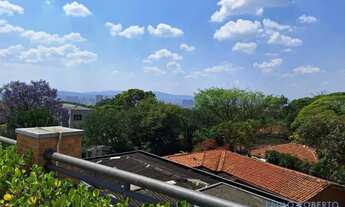 Imagem 6: COMERCIAL - ALTO DA LAPA - SP