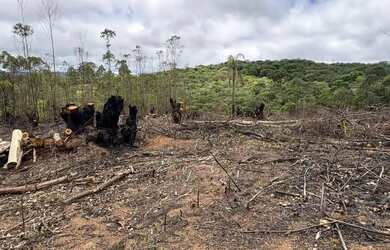 Imagem 4: Área de 3.000m² em Ibiúna Espaço, Privacidade e Alto Potencial de Valorização
