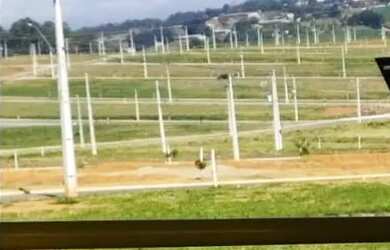 Imagem 2: TERRENO 176M² - 8 X 22 EM CABREÚVA