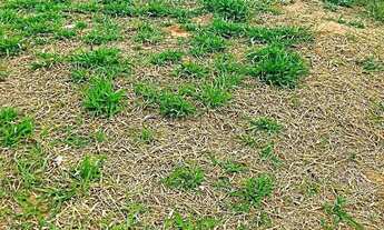 Imagem: Terreno à venda em Indaiatuba, Jardim Casablanca