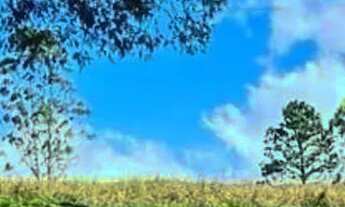 Imagem 6: Lotes para venda tem 500 metros quadrados em Vargem do Salto - Ibiúna - SP