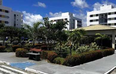 Imagem 4: Mar de Aruana 2 [12808