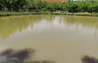 Imagem 2: Chácara com tanque