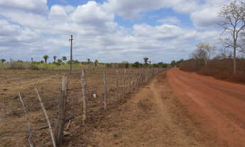 Imagem 5: Fazenda em União-PI