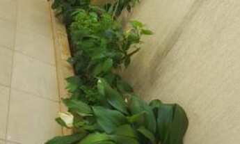 Imagem 3: Casa para Venda em Uberlândia, Bosque dos Buritis, 3 dormitórios, 1 suíte, 3 banheiros, 3