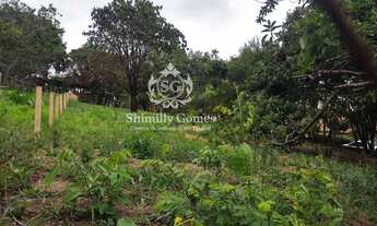 Imagem 2: 1.000 m², excelente topografia, pomar e bela vista !!