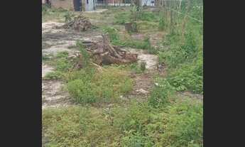 Imagem 7: Sitio Chácara com venda por R$150.000