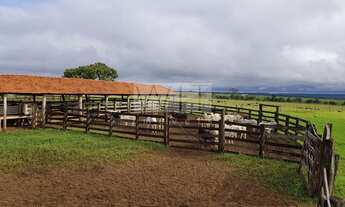 Imagem: Fazenda - Rural - Inocência
