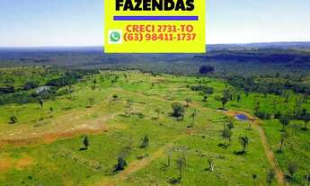 Imagem 3: Fazenda 147 alqueires (712 hectares). Município Wanderlândia Tocantins