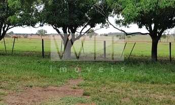 Imagem 5: Fazenda - Rural - Inocência
