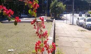 Imagem 3: Campinas - Terreno Padrao - Taquaral