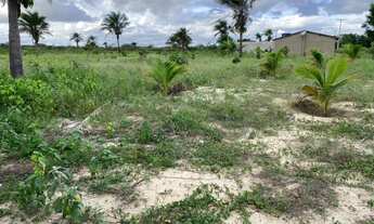 Imagem 3: Vende-Se CASA Com 1 TAREFA de TERRA, Com Energia, Cisterna boa, 70 Pés de Frutas,Cercada
