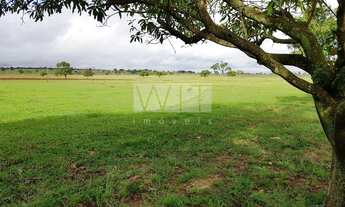 Imagem 7: Fazenda - Rural - Inocência