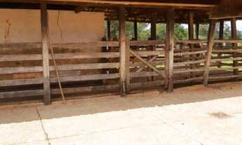 Imagem 4: ALAMBIQUE !!! AGRICULTURA E PECUÁRIA!!!12 DIVISORIAS DE PASTAGEM!!!!