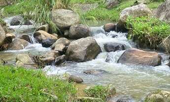 Imagem 6: Sítio em Garcia - Angelina - SC com área de 17 hectares